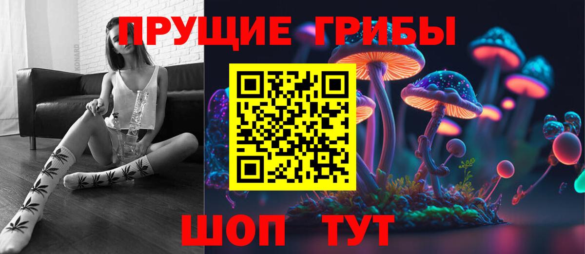 Советский  Галлюциногенные грибы Cubensis  Вход с VPN 